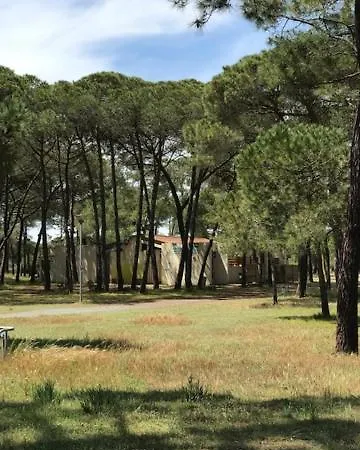 Oh! - La Tamarissiere