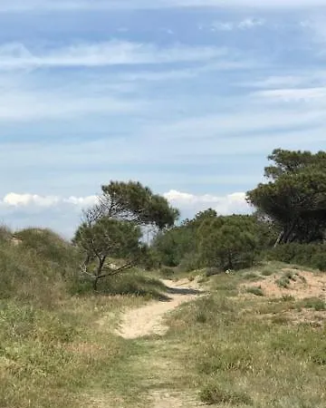 Oh! - La Tamarissiere Kemping *