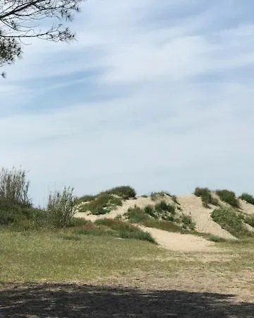 Oh! - La Tamarissiere Kemping