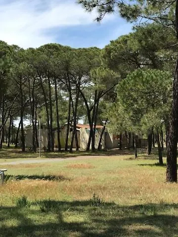 Oh! - La Tamarissiere