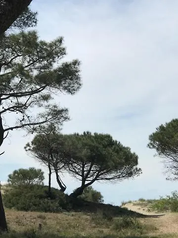 Oh! - La Tamarissiere *