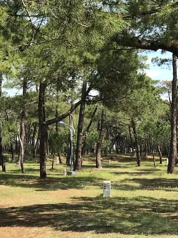 Oh! - La Tamarissiere Kemping