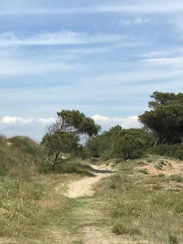 Oh! - La Tamarissiere Kemping *