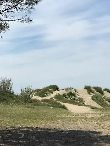 Oh! - La Tamarissiere Kemping